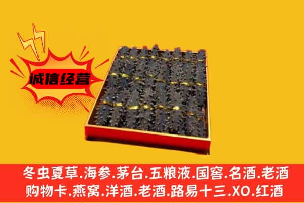 文山州回收海参